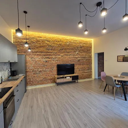 شقة Duzy Komfortowy Apartament W Samym Centrum Przy Manufaktura I Piotrkowska, Blisko Zoo, Fala وودج