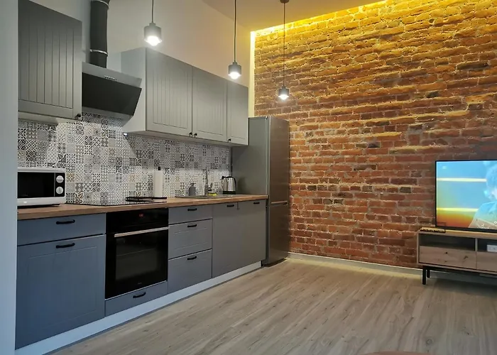 Duzy Komfortowy Apartament W Samym Centrum Przy Manufaktura I Piotrkowska, Blisko Zoo, Fala