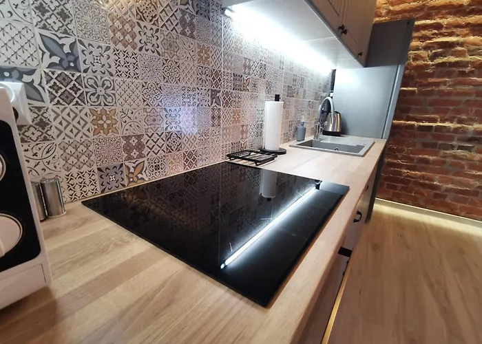 Duzy Komfortowy Apartament W Samym Centrum Przy Manufaktura I Piotrkowska, Blisko Zoo, Fala شقة